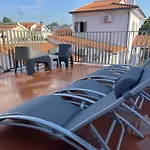 Bird's Aveiro