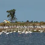Hébergement de vacances Bird's *