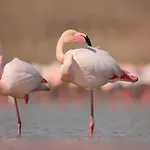 Bird's Hébergement de vacances