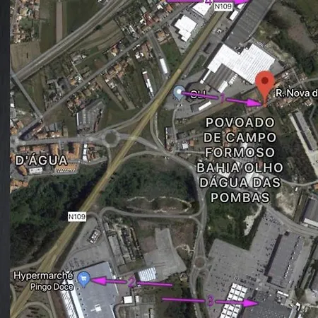 بيت للعطل Bird's *