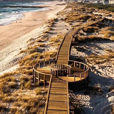 بيت للعطل Bird's