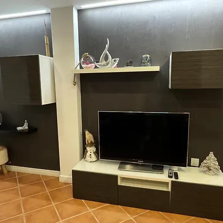 Bird's Holiday home Aveiro