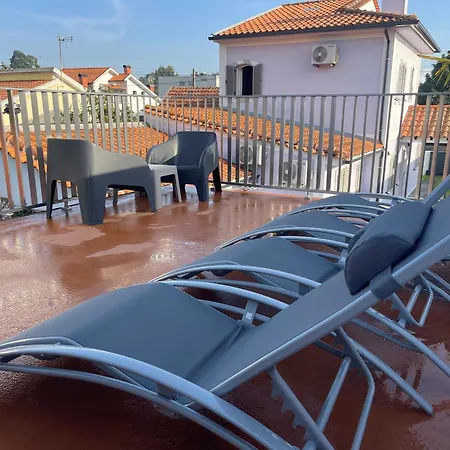 Bird's Aveiro