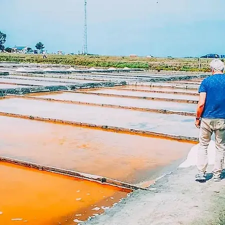 Bird's Feriehus Aveiro