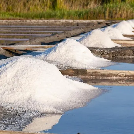 Feriehus Bird's Aveiro