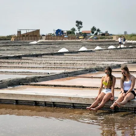 Bird's بيت للعطل أفيرو