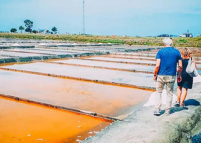 Bird's Сasa de vacaciones Aveiro