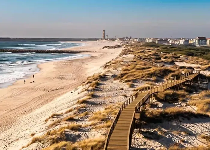 Bird's * 아베이루