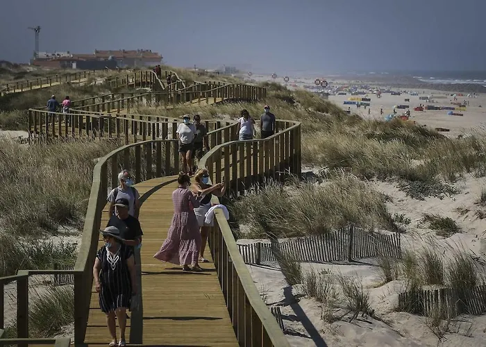 Сasa de vacaciones Bird's