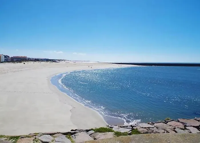 Bird's Holiday home *