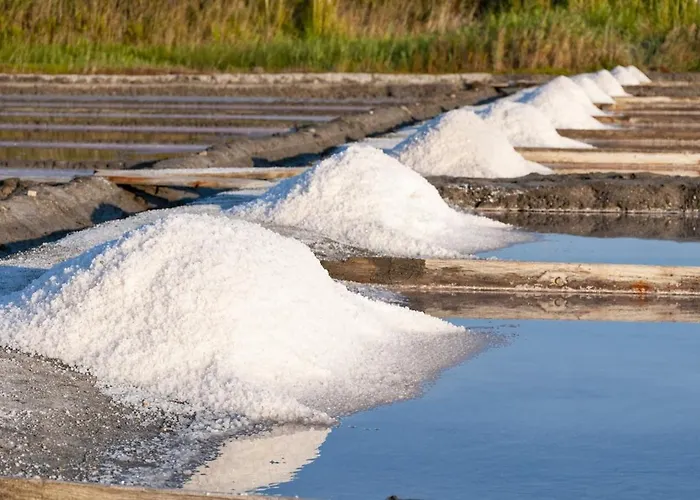 Сasa de vacaciones Bird's Aveiro